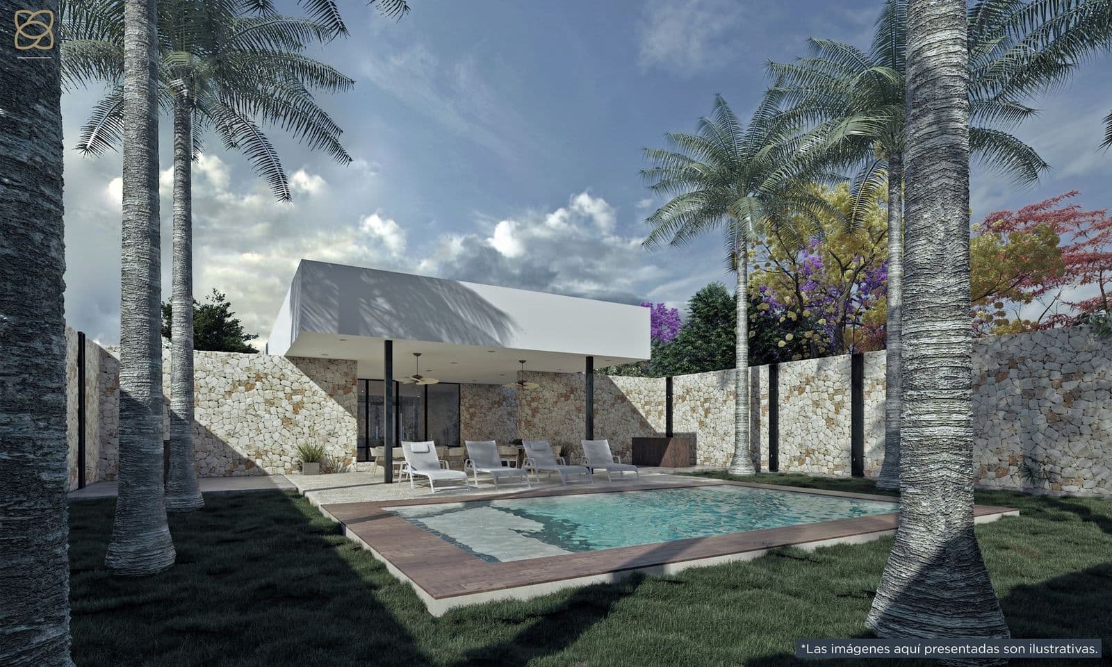 Galeria1