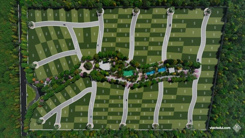 Masterplan de VIACHOLUL