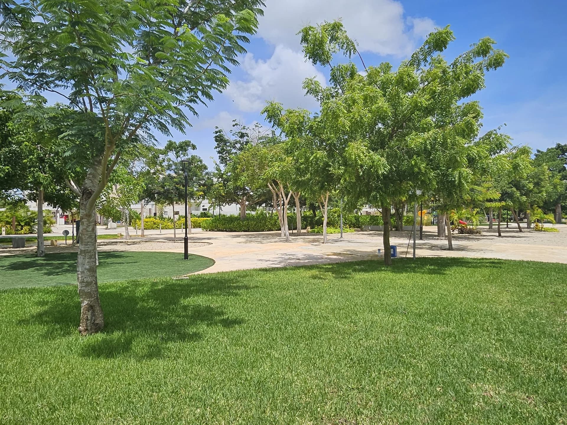 Modelo Ibis - imagen 4