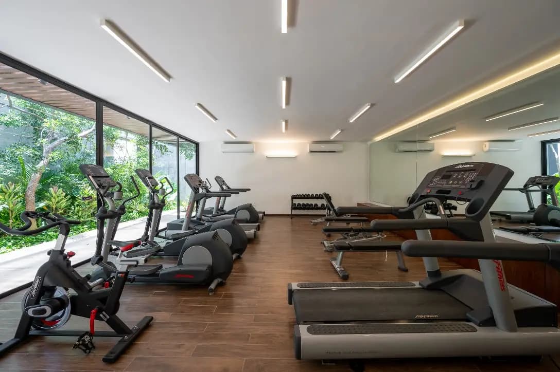 palta gimnasio