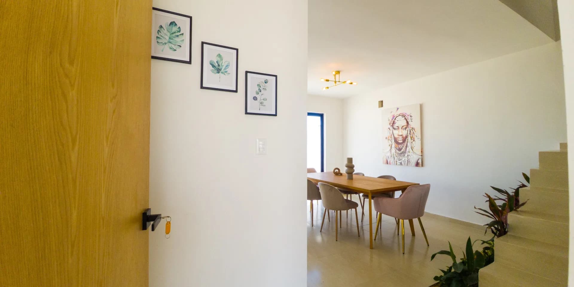 Modelo Caoba Plus - imagen 2