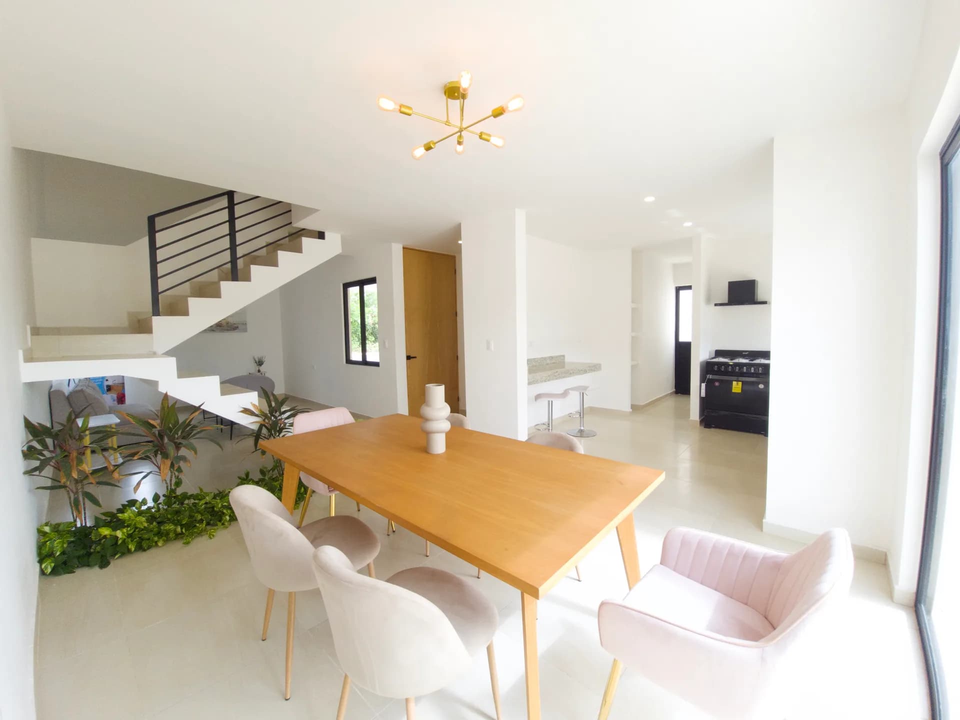 Modelo Caoba Plus - imagen 5